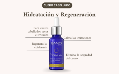 Hidratación y regeneración del cuero cabelludo con la loción de Bandi Professional