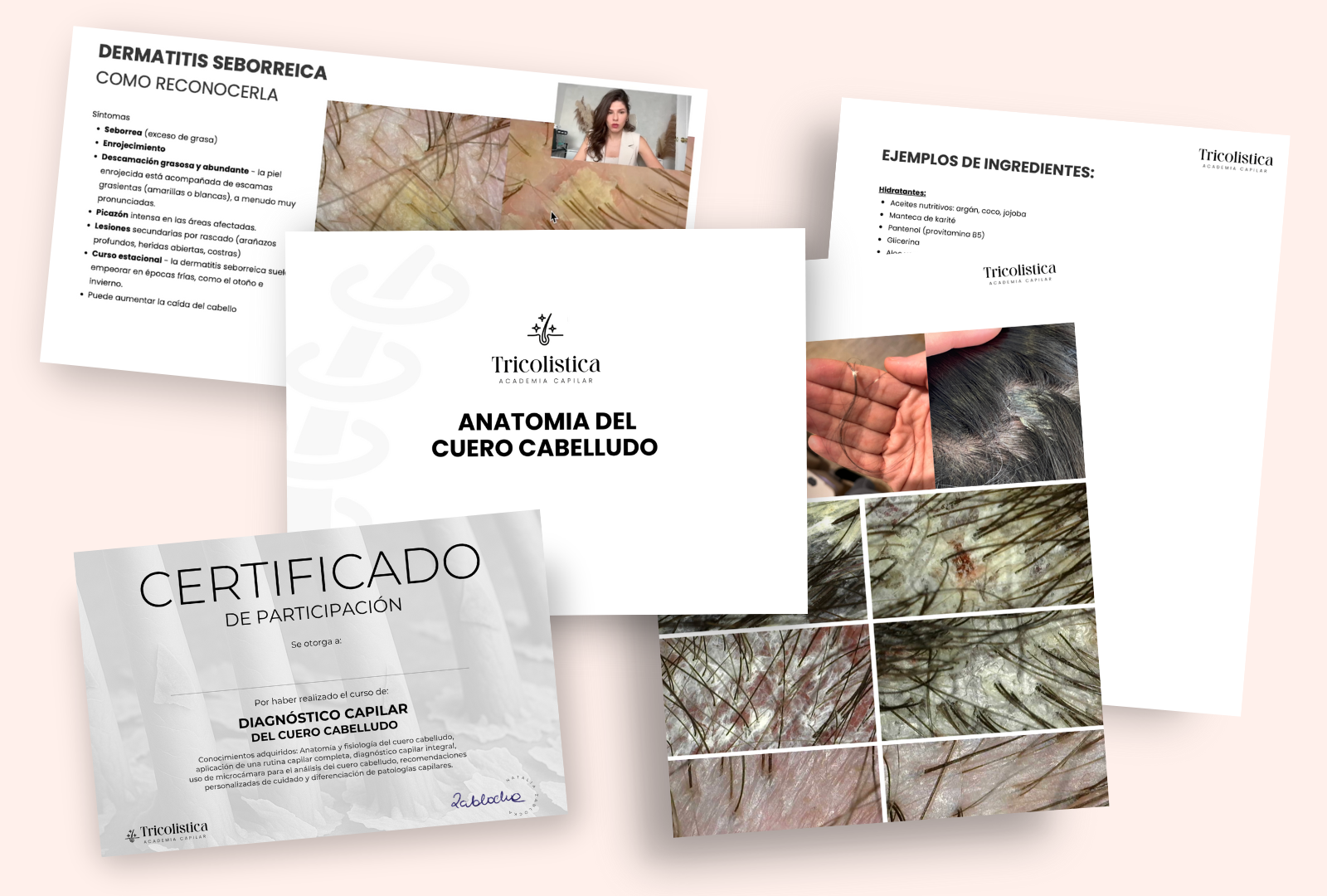 curso